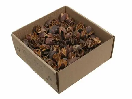 [A-028331] Bakuli naturel 400 gr